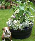 Barrel Garden Planter