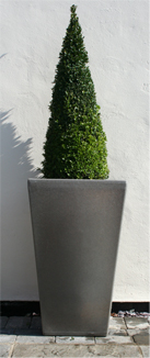 Cambridge Tall Garden Planter - Millstone Grit