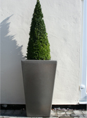 Cambridge Extra Large Planter - Millstone Grit