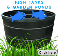 fish tanks and garden ponds