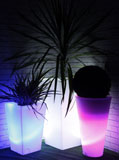 Light Up Planters