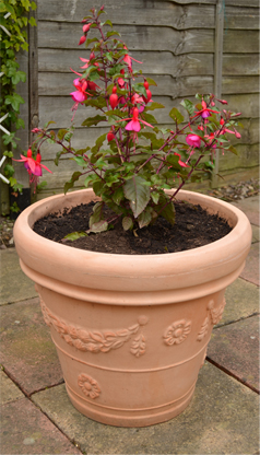 Mediterranean Traditional Planter Large