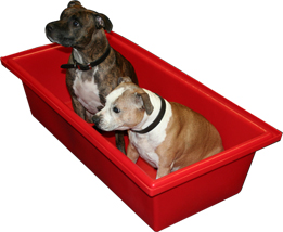 Dog Bath Deep - Red (Deep)