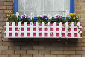 Window Box - Pink