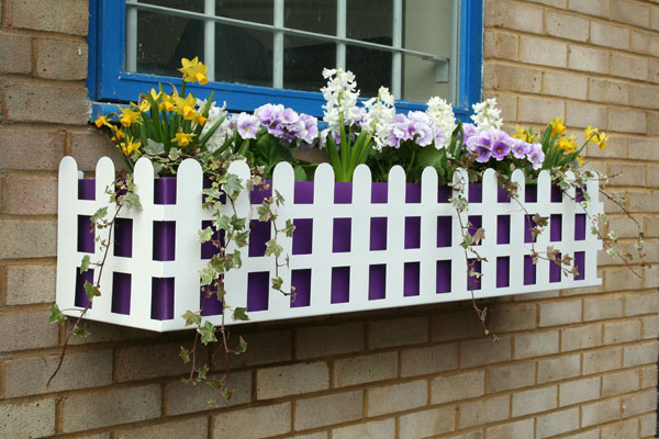 Window Box - Purple